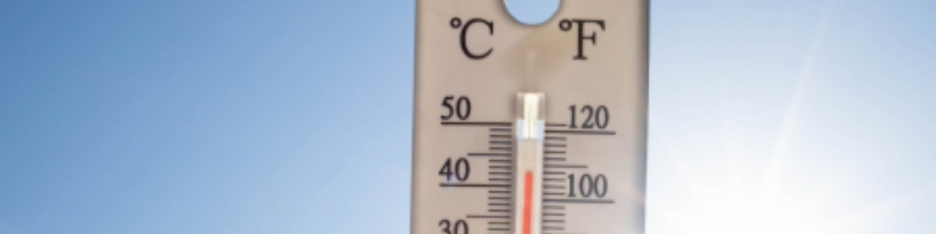 Érkezik a kánikula!☀️Készülj fel, ezeket a termékeket fogják keresni a vevőid!
