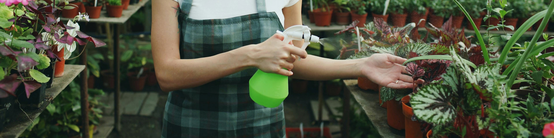 Fedezd fel a Genezis újdonságait kínálatunkban!